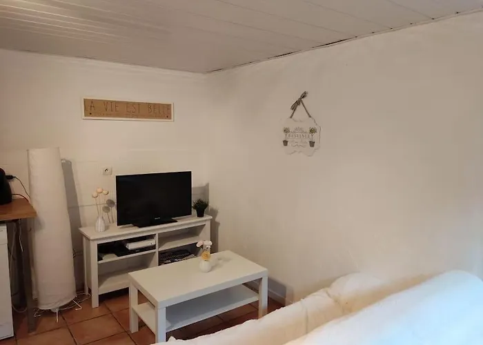 Apartment En Rez De Jardin Et Terrasse Dans