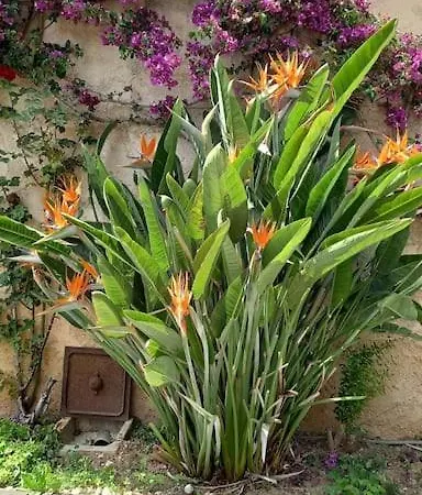 En Rez De Jardin Et Terrasse Dans Daire