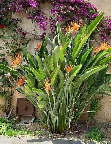 En Rez De Jardin Et Terrasse Dans Διαμέρισμα